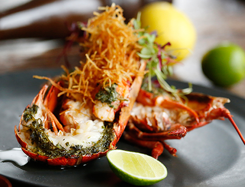 Chargrilled Canadian lobster